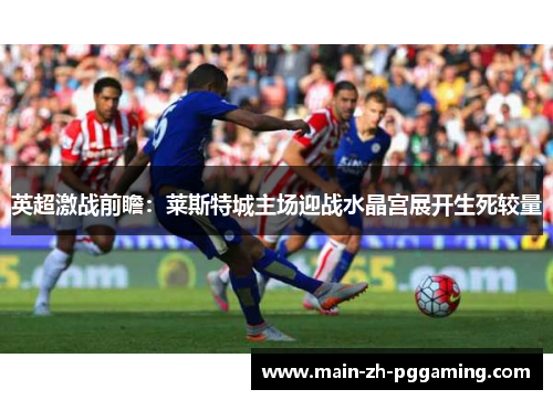 英超激战前瞻：莱斯特城主场迎战水晶宫展开生死较量