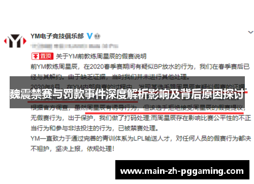 魏震禁赛与罚款事件深度解析影响及背后原因探讨